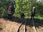 Bahndammbrand auf der Franz-Josephs-Bahn