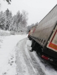 LKW Bergung in der Wild