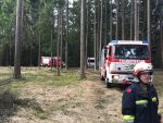 Forstunfall in der Wild