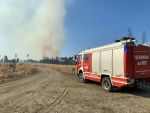 Waldbrand am TÜPL Allentsteig