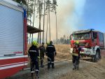Waldbrand am TÜPL Allentsteig