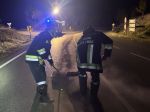 Schadstoffeinsatz auf der LB2