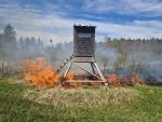 Vegetationsbrand in Göpfritz/Wild