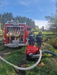 Vegetationsbrand in Göpfritz/Wild