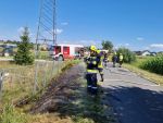 Vegetationsbrand in Göpfritz/Wild