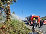 Brand Holzstoß in Göpfritz/Wild