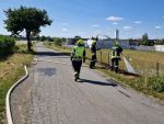 Vegetationsbrand in Göpfritz/Wild
