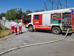 Vegetationsbrand in Göpfritz/Wild