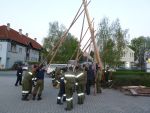 Maibaum 2014