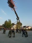 Maibaum 2014