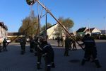 Maibaum 2016