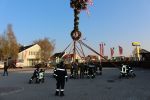 Maibaum 2017
