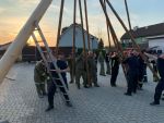 Maibaum 2022