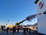 Maibaum 2026
